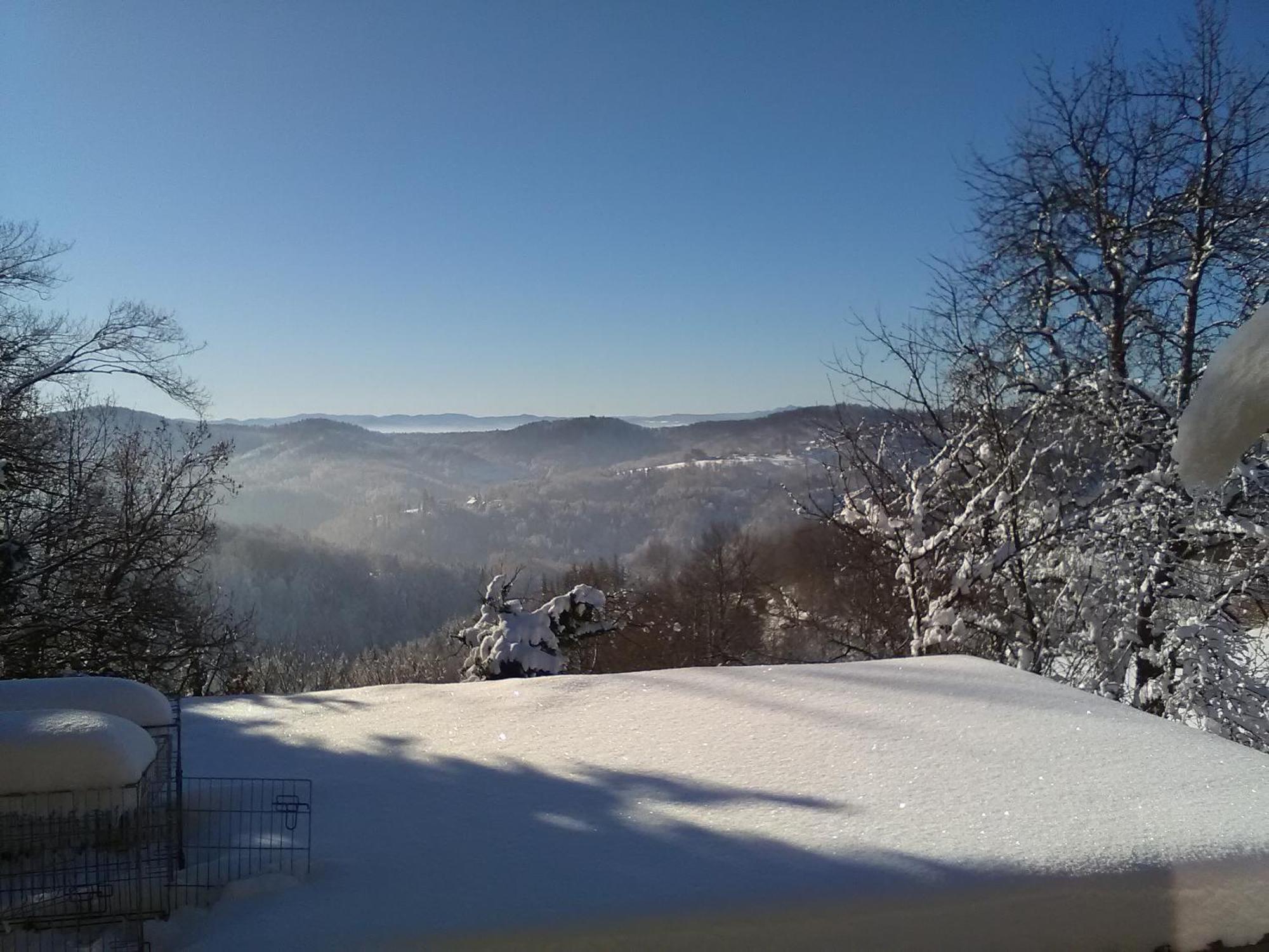 Bed&Breakfast Zilje Vinica エクステリア 写真